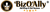 BizOAlly