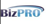 Bizpro Processos de Negócios