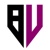 BizVibeZ Consultants