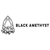 Black Amethyst, LLC