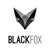 BLACK FOX LLC