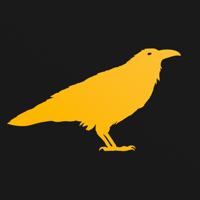 Black Raven AFC