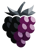 BlackBerry Tech
