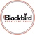 BlackBird Book Publishing