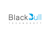 BlackbullTechnosoft
