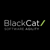 BlackCat Technology Solutions Ltd