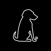 BlackDog Advertising