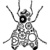 Blackfly Solutions