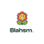 Blahsm Web Design