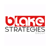 Blake Strategies Group