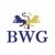 Blake Willson Group, LLC