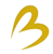 Bless Tech Solutions Pvt. Ltd.