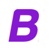 BlindSeer Pty Ltd