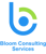 Bloom Consulting Services
