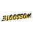 bloossom.com