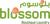 Blossom Dry Cleaners