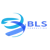 BLS Consulting