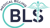 BLS Medical Billing
