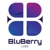 Bluberry Labs LLC