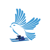 Blue Bird Marketing