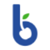 Blue Cherry Online Marketing