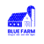 Blue Farm Google Ads and SEO Management