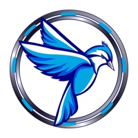 Blue Jay Solution
