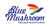 Blue Mushroom Infozone Pvt Ltd