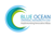 Blue Ocean Strategic Advisors