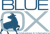 Blue Ox Websites & Marketing