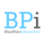 Blue Polo Interactive