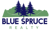 Blue Spruce Realty