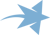 Blue Star Design