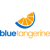 Blue Tangerine LLC
