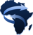Blue Team for Digital Solutions