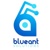 Blueant Solutions