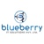 Blueberry IT Solutions Pvt Ltd
