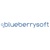 Blueberrysoft