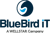 BlueBird iT Solutions Inc