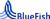 Bluefish LLC