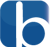 Bluelook:Web & mobile app development