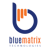 BlueMatrix Technologies