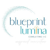 Blueprint Lumina Consulting LLC