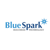 Bluespark Business Technology Solution Plc