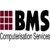 BMS Computerisation Services