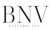 BNV Electric Inc
