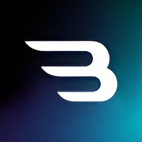 BOGLEX SRL