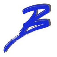 BonSystems Malta - Web Development Solutions