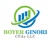 Boyer Ginori CPAs LLC