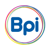 BPI Accounting Services